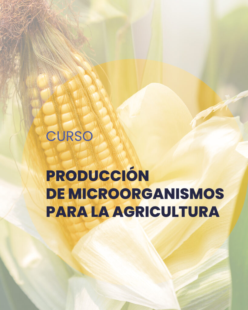 Curso producción de microorganismos para la agricultura