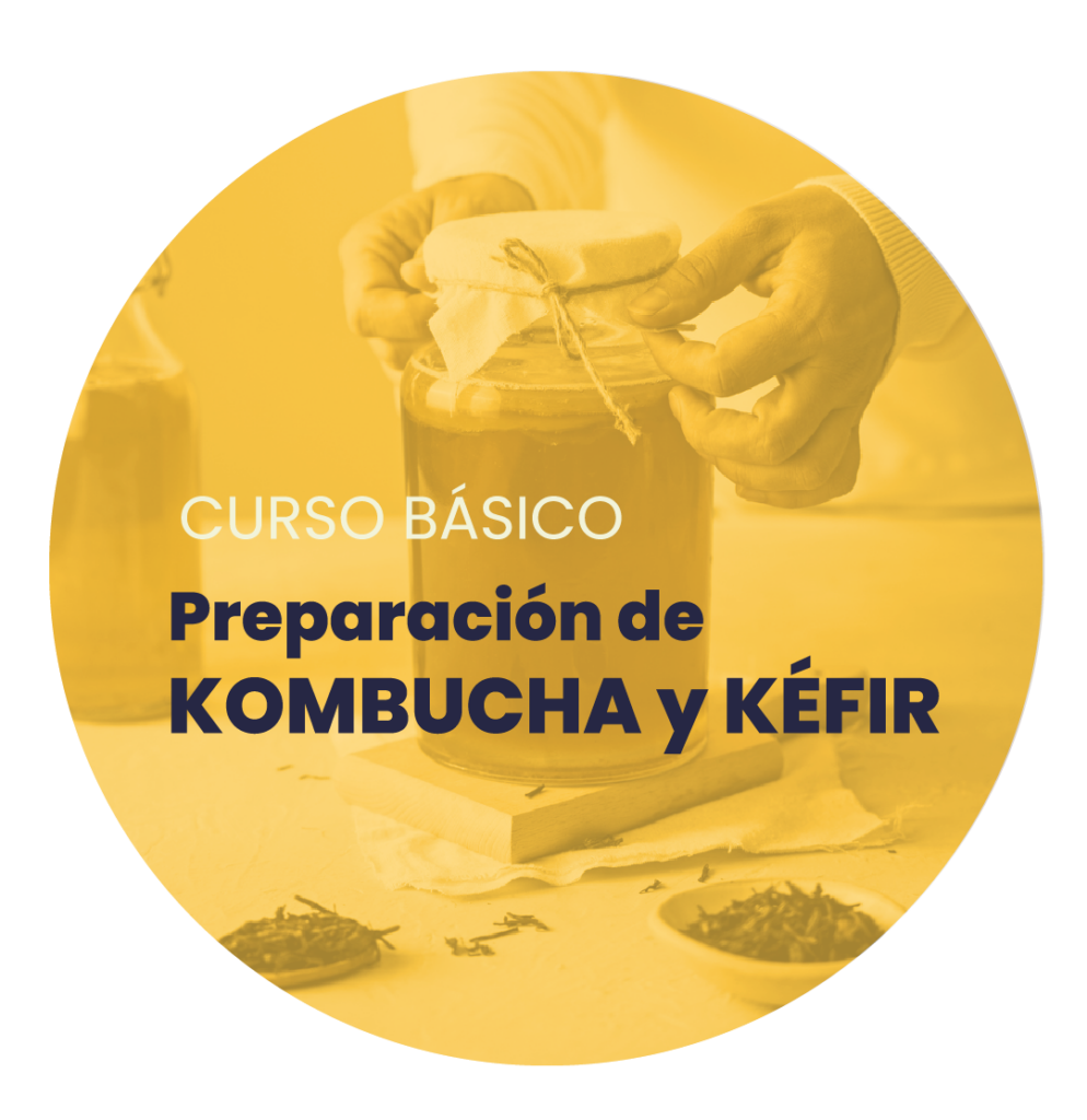 Curso preparación kombucha y kefir