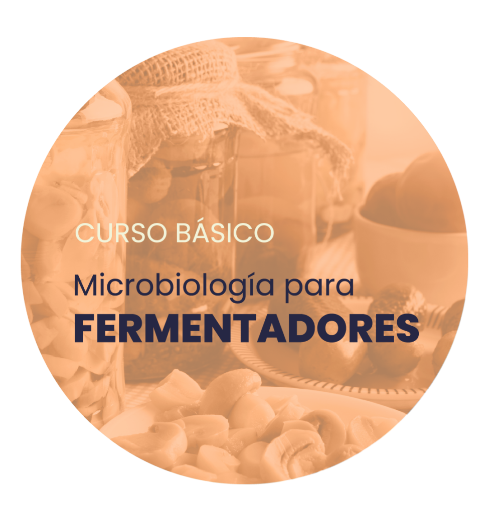 Curso Microbiología para fermentadores