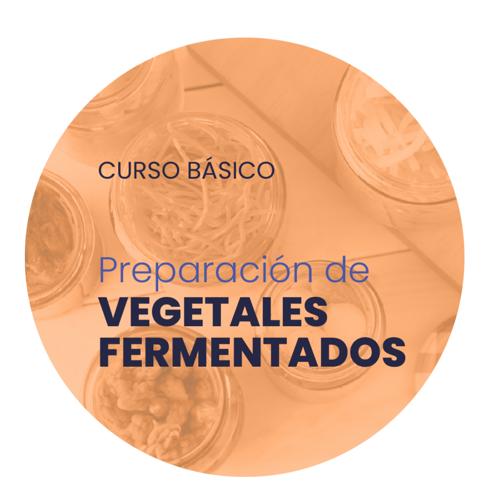 Curso vegetales fermentados